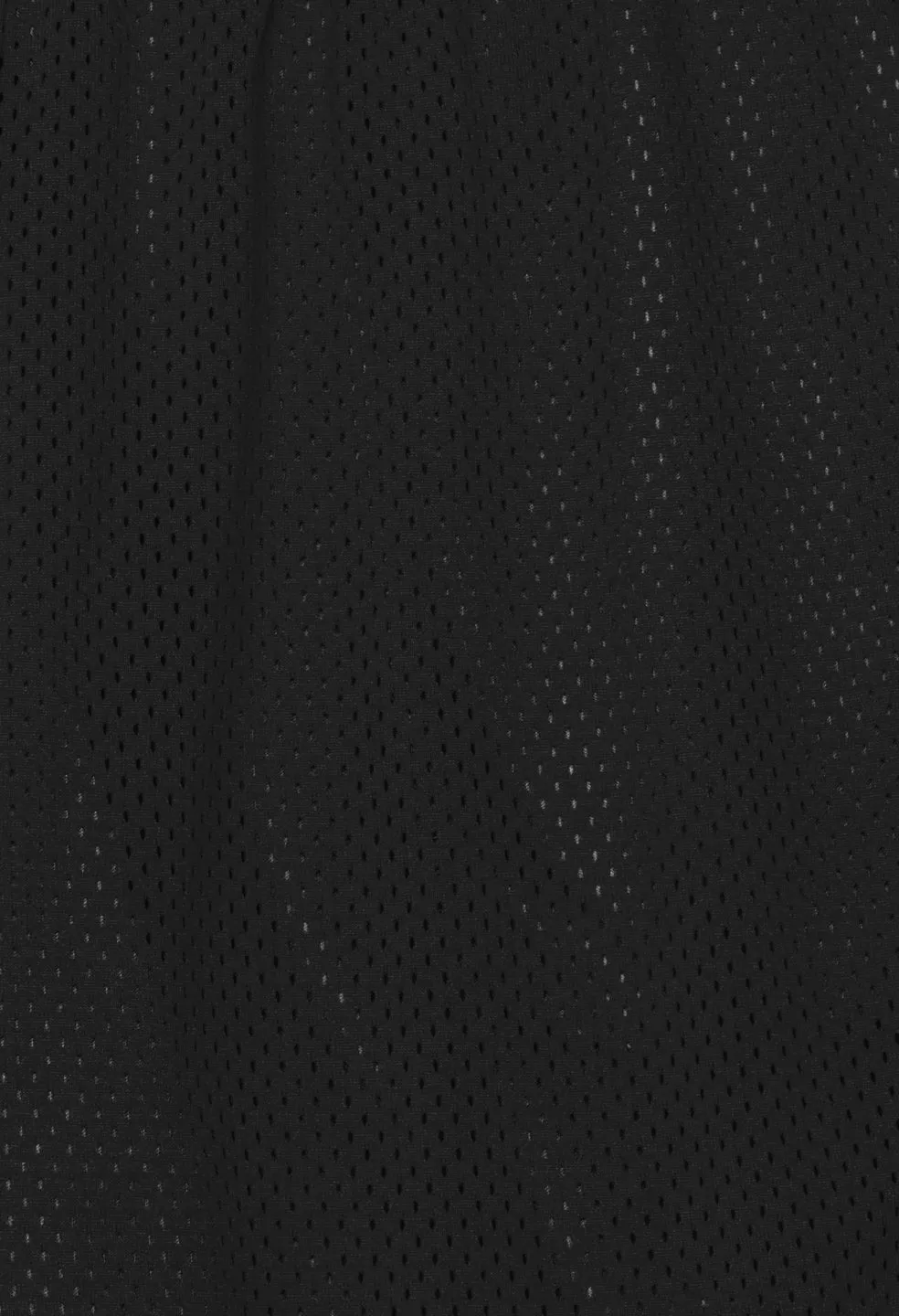 AAU Shorts / Black