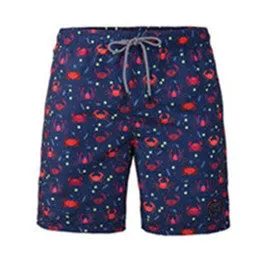 Men's  Beach  Vacation  Swimwear    Shorts