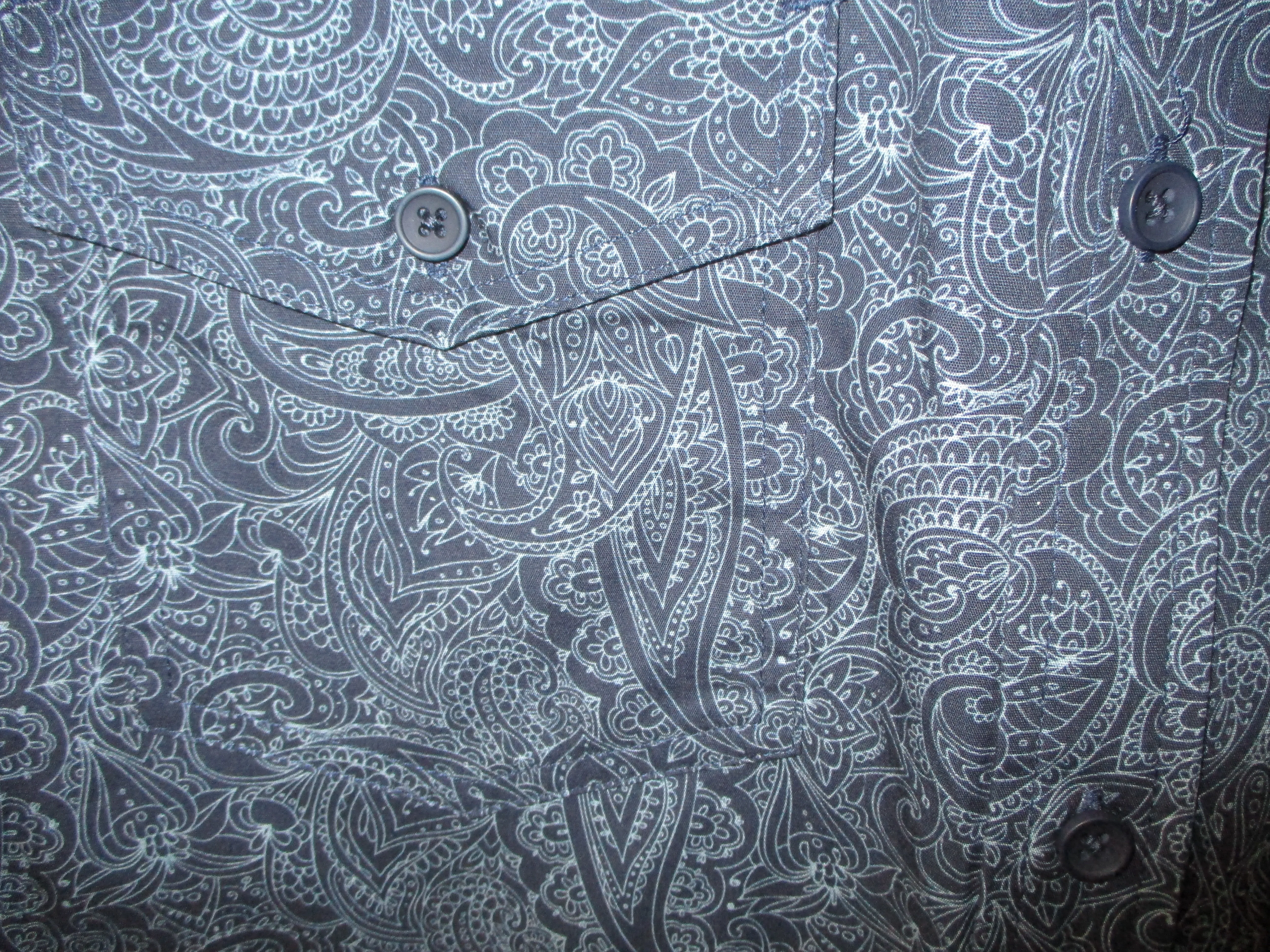 Men's Blue Paisley Western Shirt