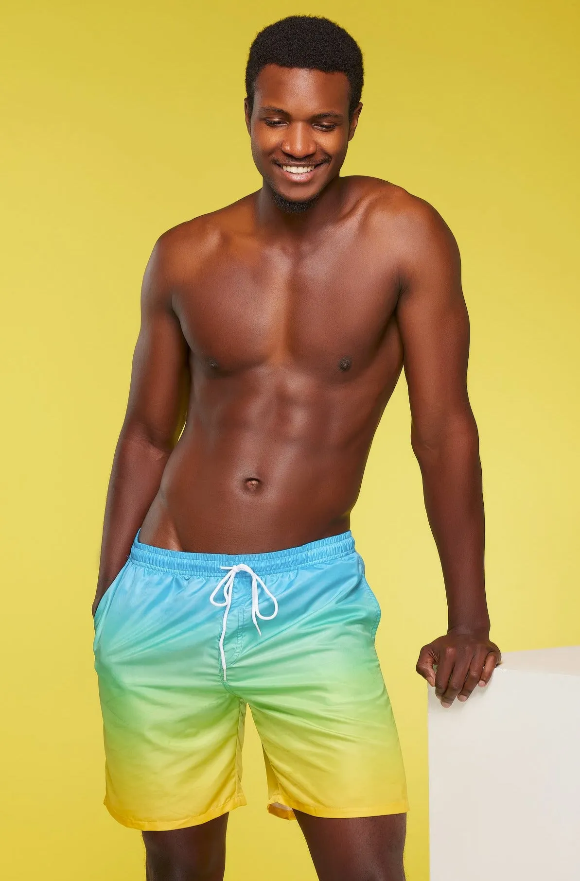 Ocean View Men's Medium Length Swim Trunks
