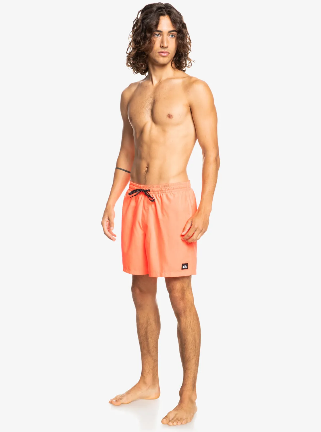 Quiksilver Mens Everyday 17" Volley Shorts